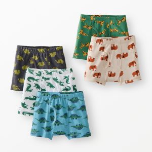 5-Pack Organic Cotton Boxer Briefs