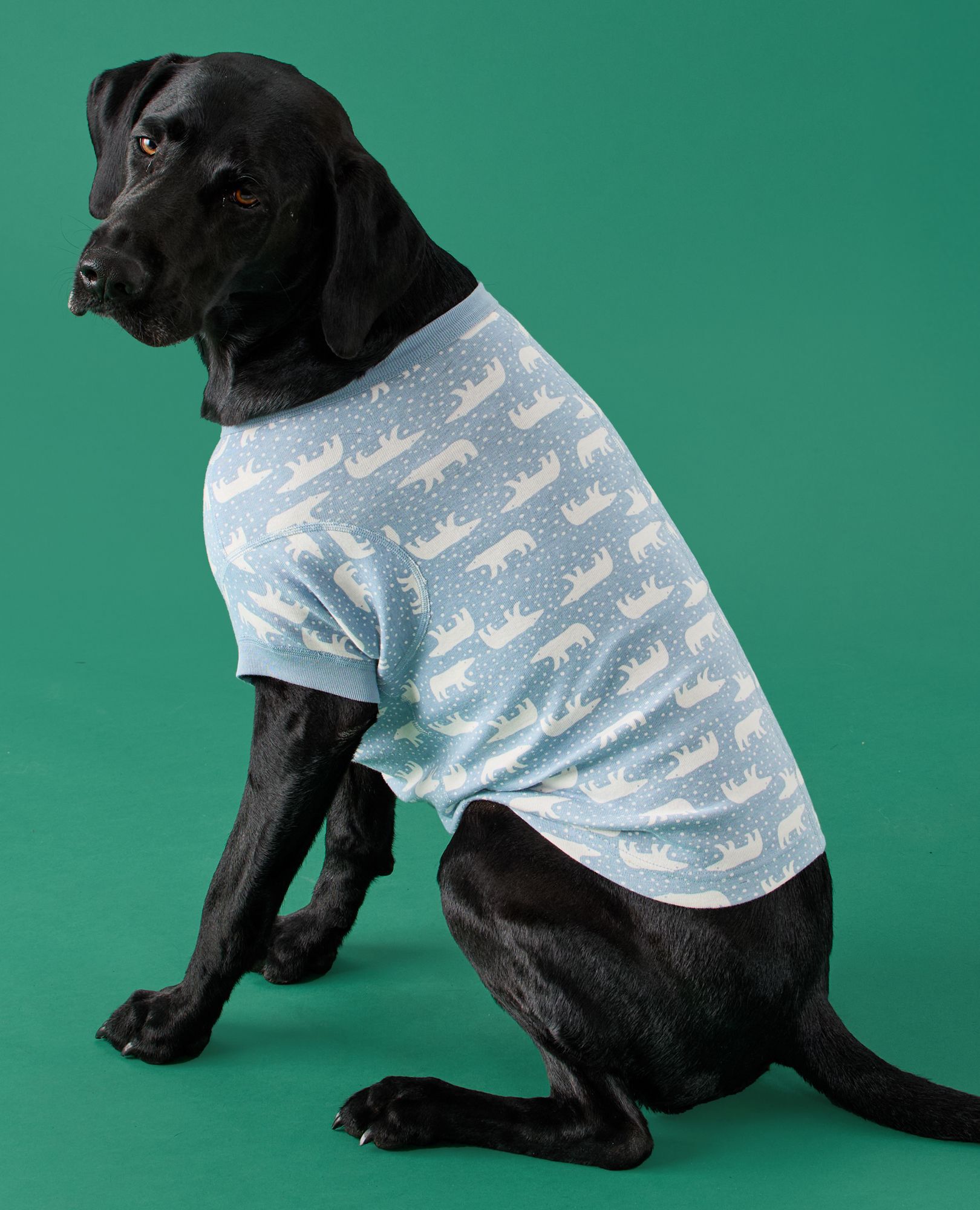 Holiday Dog Pajamas