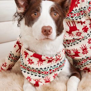 Holiday Flannel Dog Bandana