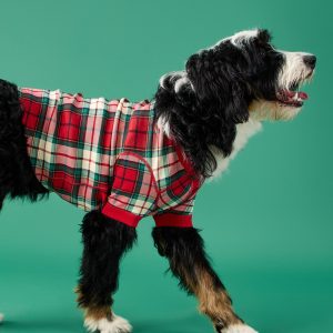 Holiday Dog Pajamas