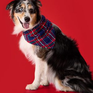 Flannel Dog Bandana