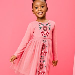 Long Sleeve Tulle Embroidered Dress