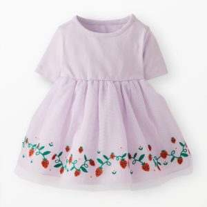 Baby Embroidered Tulle Skater Dress
