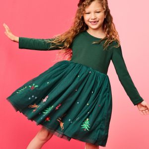 Long Sleeve Tulle Embroidered Dress
