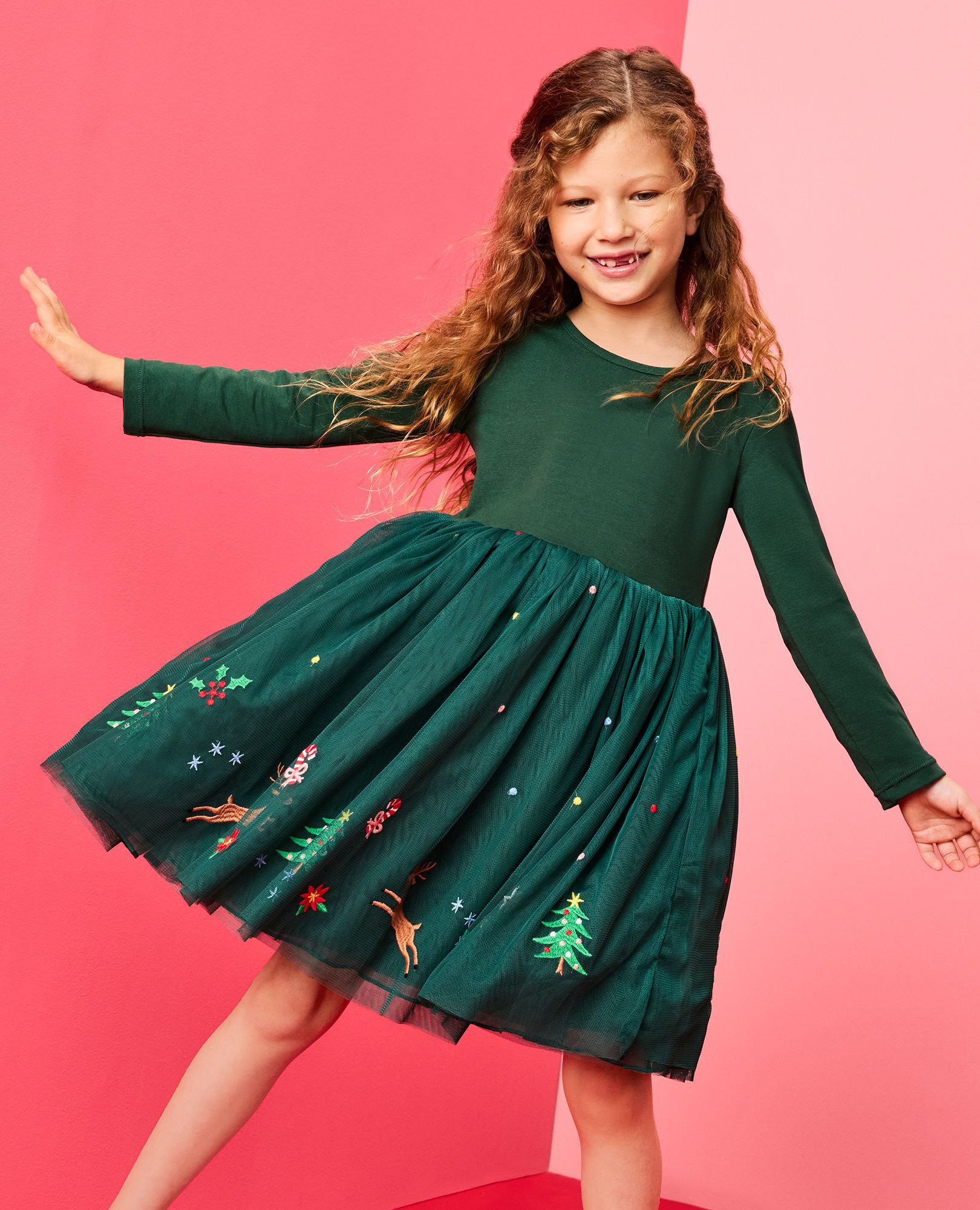 Long Sleeve Tulle Embroidered Dress