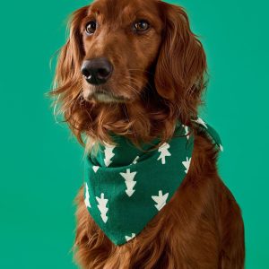 Holiday Flannel Dog Bandana
