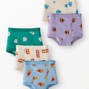 5-Pack Daniel Tiger Organic Cotton Training Underwear