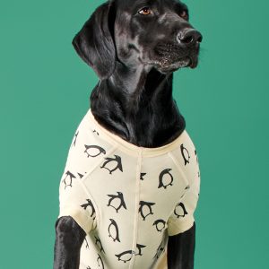 Holiday Dog Pajamas