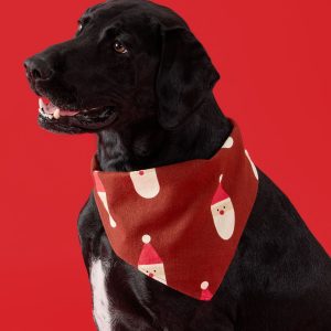 Holiday Flannel Dog Bandana