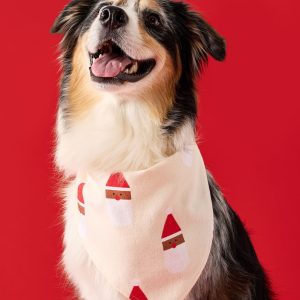 Flannel Dog Bandana