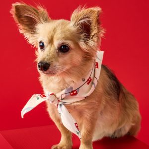 Flannel Dog Bandana