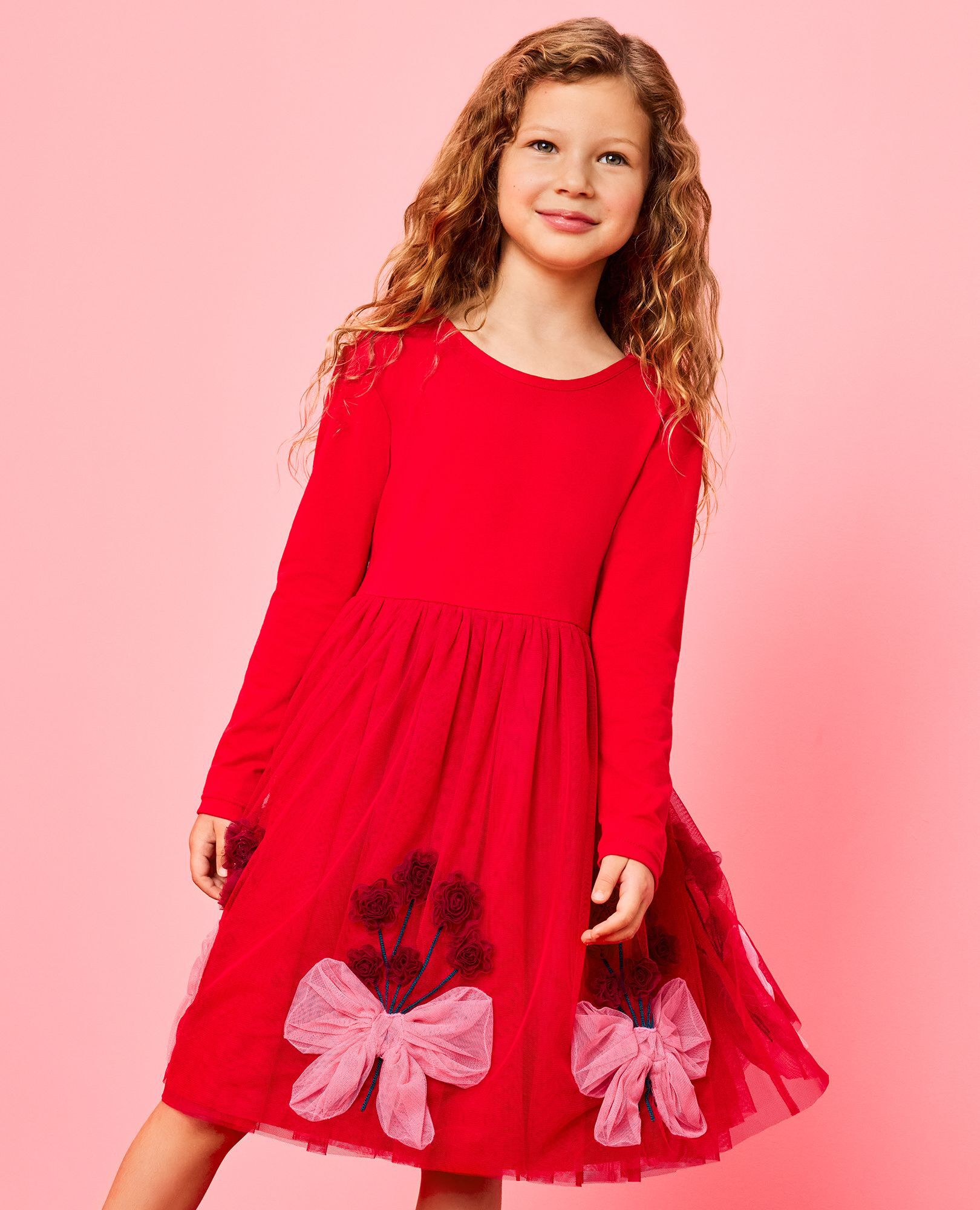 Long Sleeve Tulle Embroidered Dress